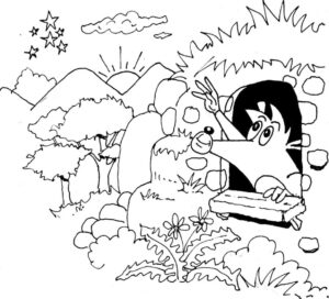 Oso hormiguero 1